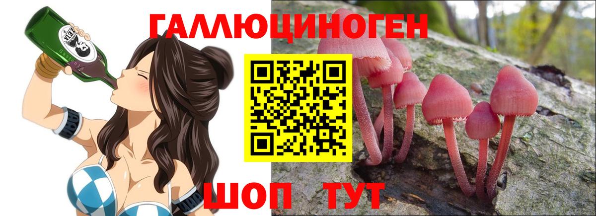 Псилоцибиновые грибы Psilocybe Ярцево